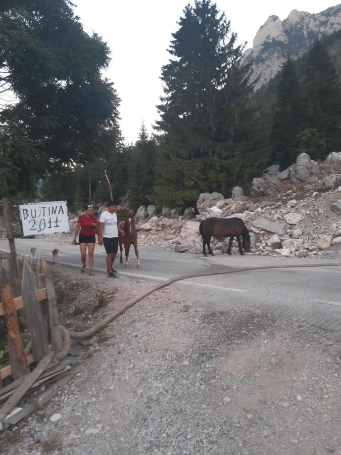 Bujtina 2 Hotel Valbona Kültér fotó