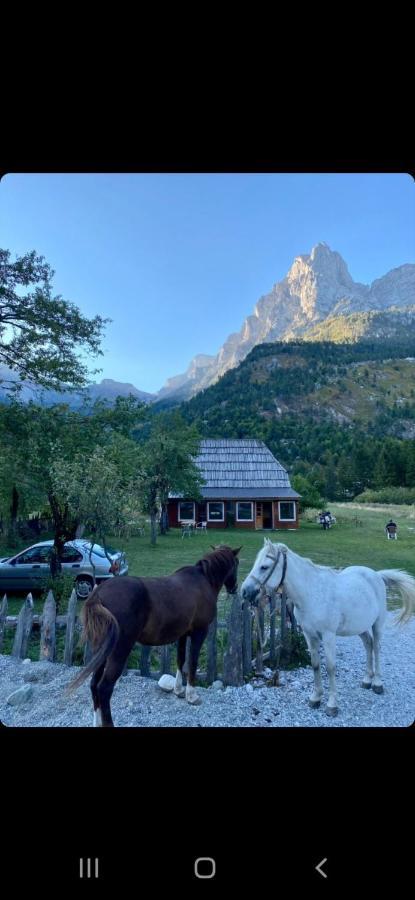 Bujtina 2 Hotel Valbona Kültér fotó