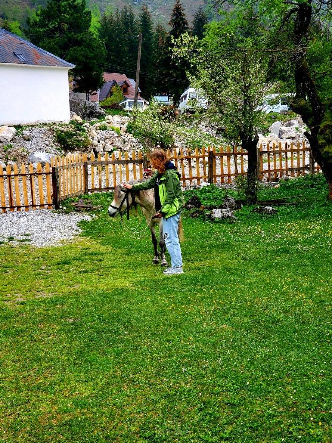 Bujtina 2 Hotel Valbona Kültér fotó